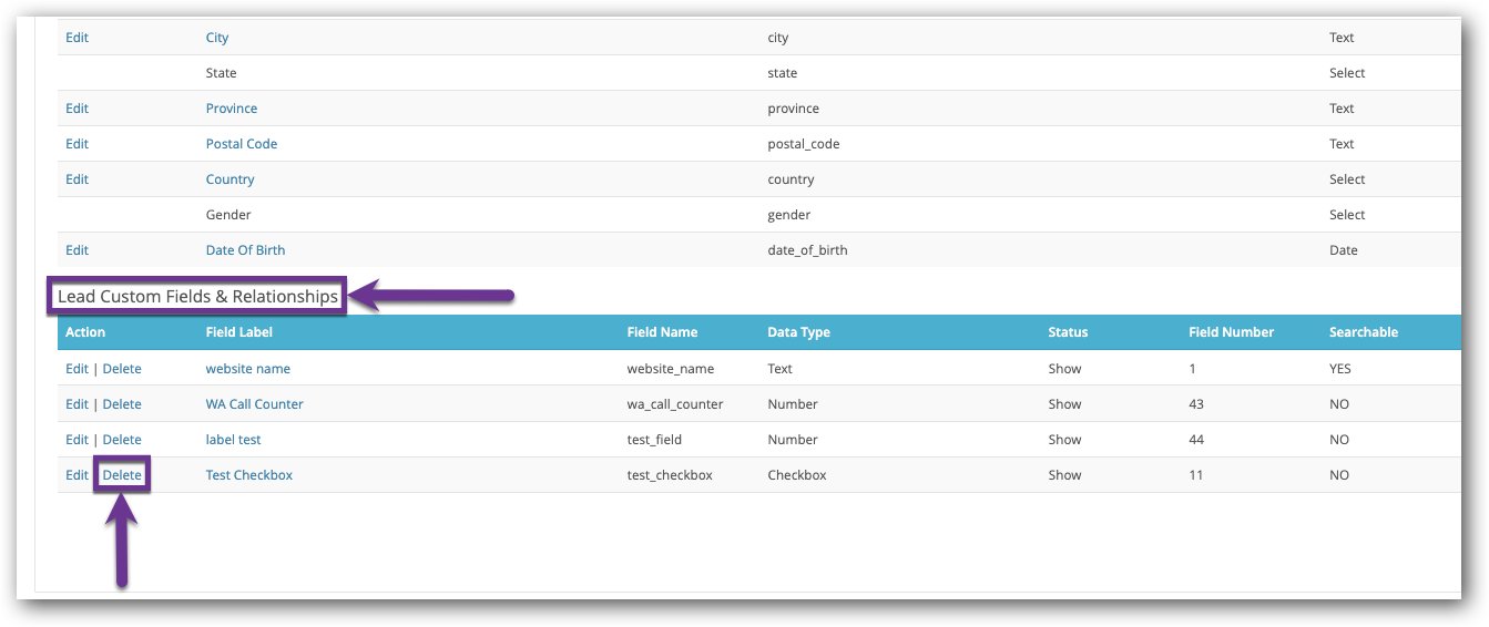 Delete Custom Field.png
