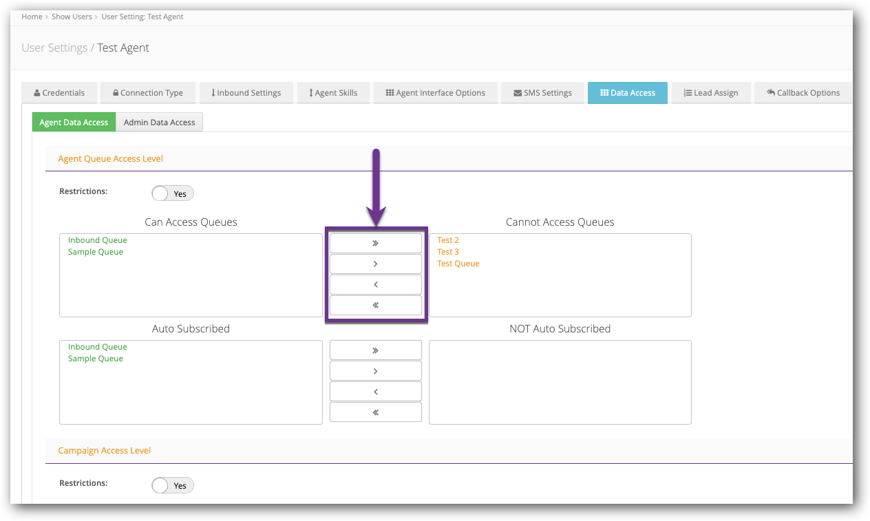 Assign Queues to Agent - Data Access.png
