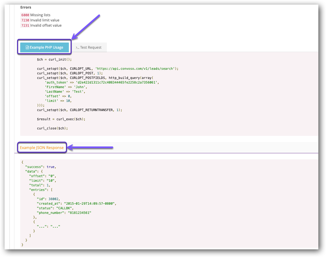 Example PHP and JSON - Lead Search.png
